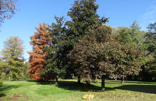 Corte Isolo - Photo 31