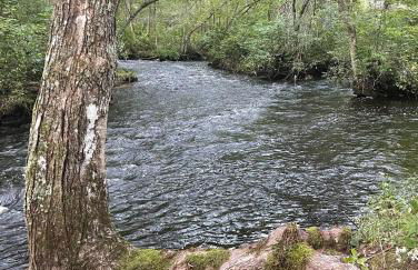 The Giddyup Getaway at The River Haven Sanctuary - Foto 28