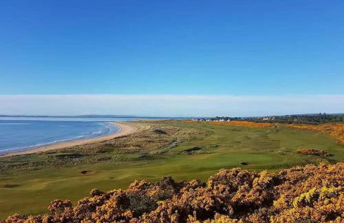 Orcadia Sutherland Road Dornoch IV25 3SX - Photo 30