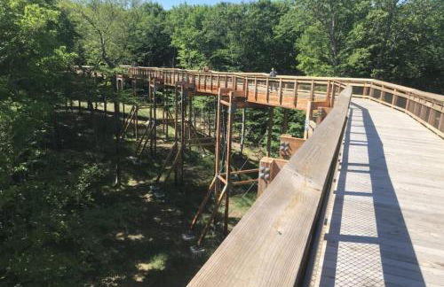 Cherry Hill - Minutes to Downtown! Hot Tub, Spacious Yard & Dogs OK! - Foto 23