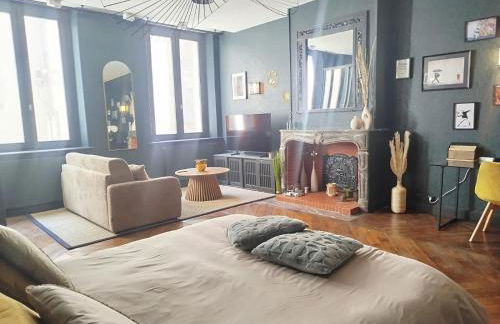 Nancy Vieille Ville Stanislas - Foto 24