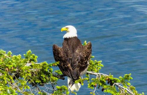 Eagles' Oceanview - Foto 2