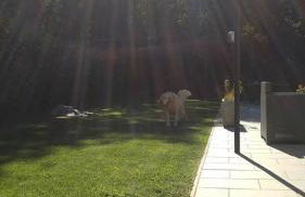 B&B Villa Verde - Foto 15