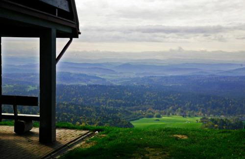 Domek Skowronek z basenem - Foto 37