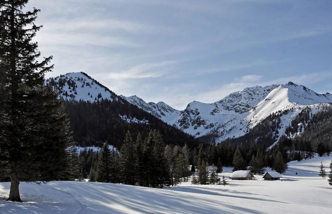 Superior #68 mit IR-Sauna - Foto 23