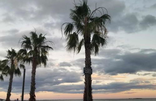 La Baraquette de Thau - Foto 28