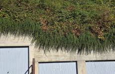 Erkensruhr EIFEL Glück - walking & relaxing TOP view - Foto 17