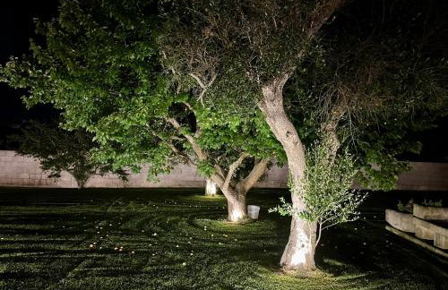 Villa Maddalena - Big garden Parking & Pool - Foto 46