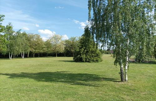 Gîte tout confort avec grand jardin, cheminée, clim et WIFI, proche châteaux de la Loire et ZooParc de Beauval - FR-1-491-400 - Photo 20