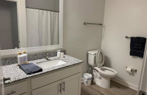 Cozy Modern Luxe Home Near Mayo Clinic and Beaches - Foto 13