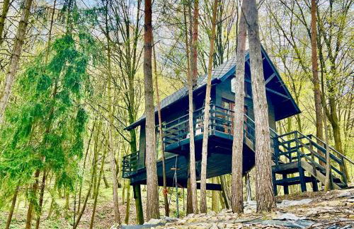 Na Skraju Lasu Domek na Drzewie & Glamping - Foto 32