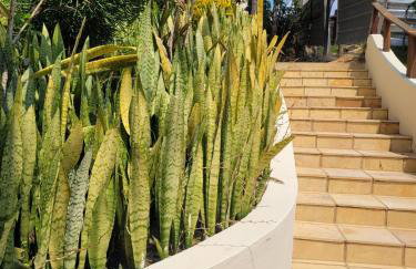 Flat topo da montanha 506 - Foto 26