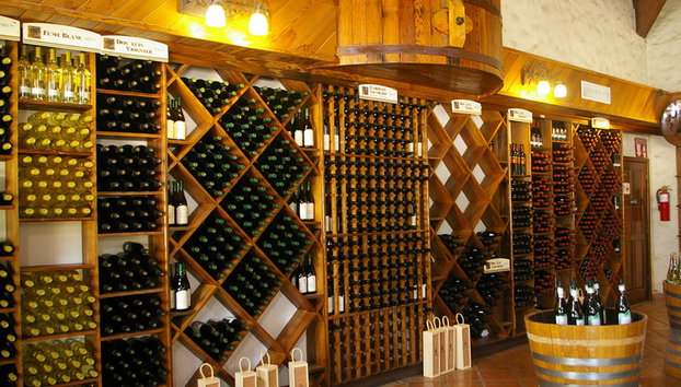 Recorrido vitivinícola y artístico - Privado - Foto 4