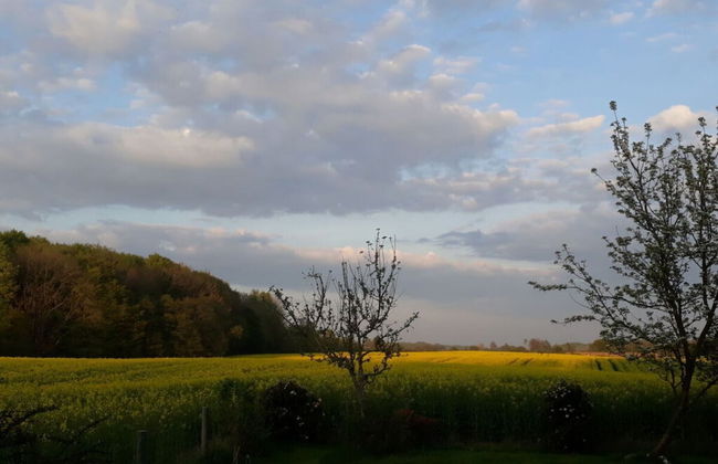 Romantic Thatched Roof House - Foto 56