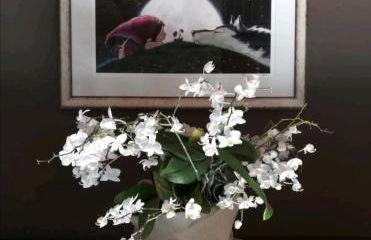 Lupus in fabula - Photo 1