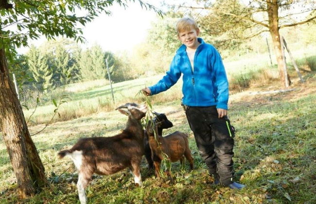 Holiday Apartment Tannenhof Bornholdt - Foto 13