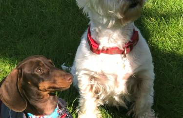 Elm Tree Cottage - Foto 18