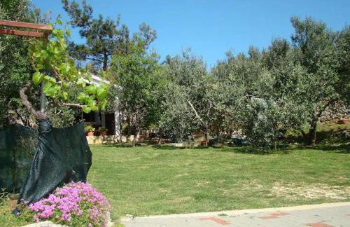 Apartments Davorka Šimuni - Foto 21