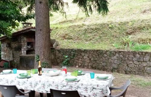 La casa del bosco - Foto 31