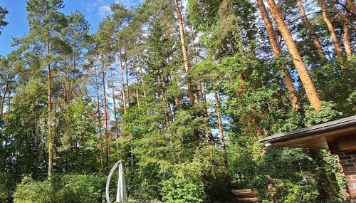 Waldhaus Jakober - Foto 3