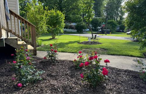 Holly Hill Haven - Photo 49