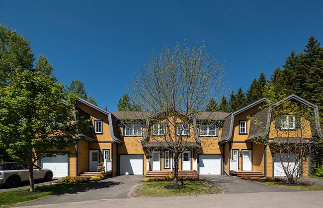 Borealis - RVMT - Foto 1