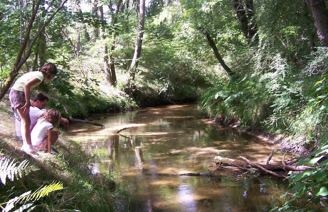 Cap'Cabane - Foto 17