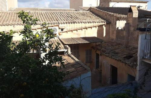 Houpla Porto Cristo - Foto 11