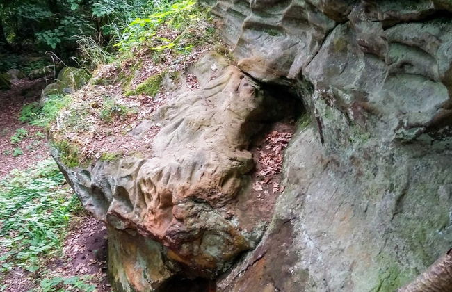 5 Person Holiday Home in Raa/helsingborg-by Traum - Photo 10