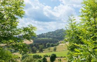 La barrina - Foto 25