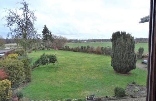 Mohnblume - a64904 - Foto 31