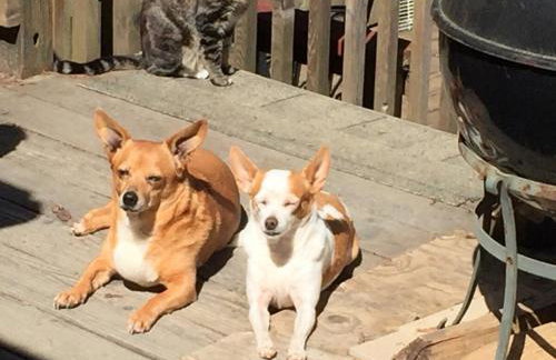 Sweet Creek - Photo 49