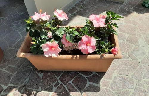 Appartamento Carla - Foto 16