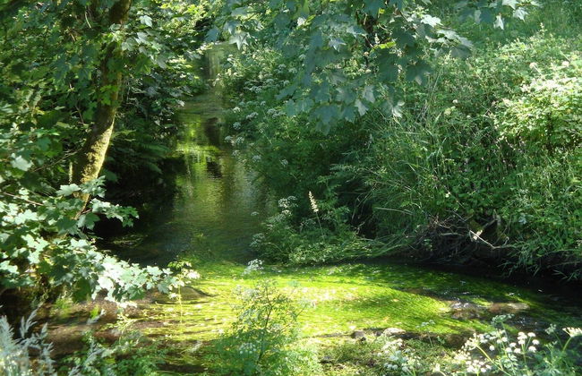 Holiday Home in Tavistock With Garden - Foto 18