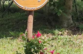 Les Treilles de Salies - Studio au calme - Foto 27