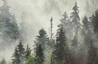 Moderne Neubauwohnung bei Köln - Foto 37