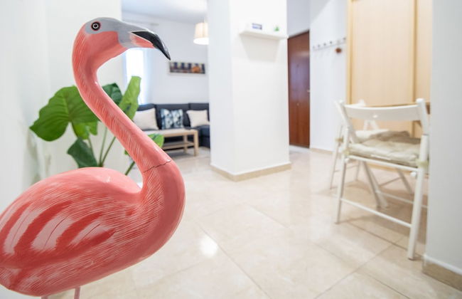 Apartamento Ultramar Cádiz - Foto 23