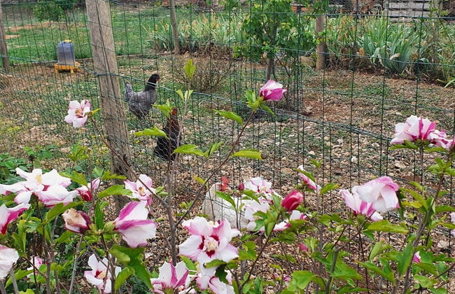 Bright, Modern Loft Comfortable Vacation Home - Foto 22