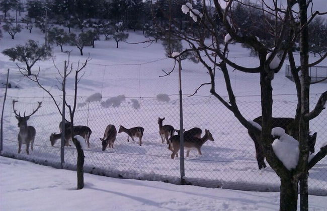 Agriturismo Tenuta del Daino - Photo 21