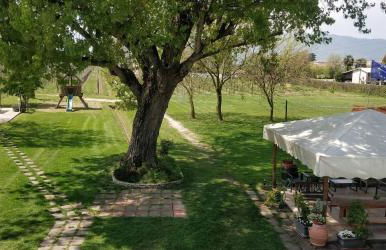 Agriturismo L'Albara - Wines, Pool & SPA - Foto 72