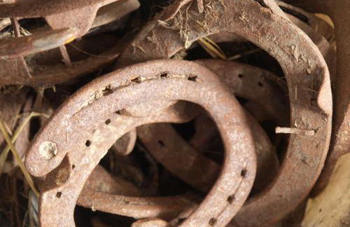 Bauernhof Koehlbrandt - Foto 59