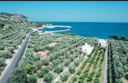 Mia glass house Elite Villas & Exclusive Suites - Foto 23