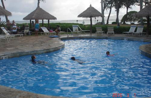 Islander on the Beach Unit 244 - Foto 8