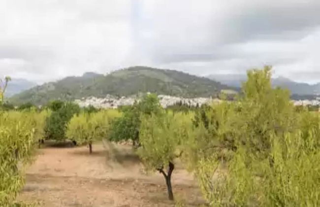 Casa Vella - House With Free Wifi - Foto 37