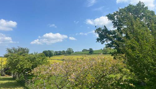 Viewpoint Studio - Photo 4