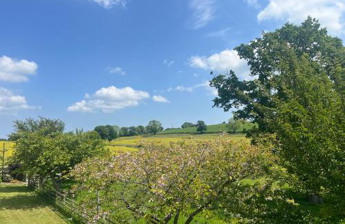 Viewpoint Studio - Foto 4