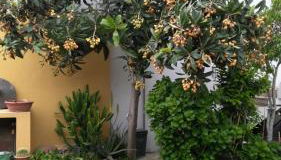 Apartment Rose e Fiori Sardegna - Foto 4