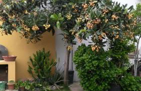 Apartment Rose e Fiori Sardegna - Foto 4