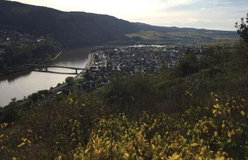 Ferienwohnung Weinbergblick - Foto 30