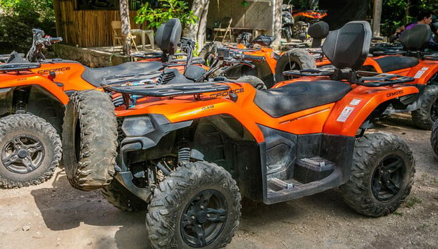 ATV-Schildkröten und Cenote - Foto 3